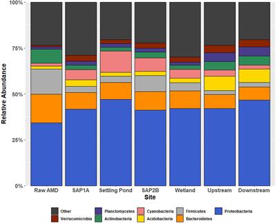 Microbial Communities Associated With Passive Acidic Abandoned Coal Mine Remediation